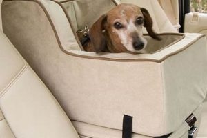 Best Dog Car Seats: Safe & Comfy Rides | My Caring Dog – Tips, Stories, and Care Guides for Loving Pet Owners