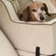 Best Dog Car Seats: Safe & Comfy Rides | My Caring Dog – Tips, Stories, and Care Guides for Loving Pet Owners