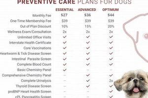Best Dog Insurance Preventive Care Plans My Caring Dog – Tips, Stories, and Care Guides for Loving Pet Owners Best Dog Insurance Preventive Care Plans | My Caring Dog – Tips, Stories, and Care Guides for Loving Pet Owners