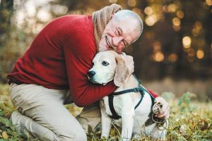 The Joy of Car Dog Companionship My Caring Dog – Tips, Stories, and Care Guides for Loving Pet Owners The Joy of Car Dog Companionship | My Caring Dog – Tips, Stories, and Care Guides for Loving Pet Owners