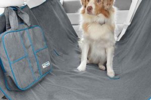 Best Dog Car Seat Covers at Petco: Top Picks & Guide | My Caring Dog – Tips, Stories, and Care Guides for Loving Pet Owners