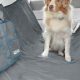 Best Dog Car Seat Covers at Petco: Top Picks & Guide | My Caring Dog – Tips, Stories, and Care Guides for Loving Pet Owners