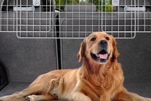 Dog Barrier For Cars My Caring Dog – Tips, Stories, and Care Guides for Loving Pet Owners Dog Barrier For Cars | My Caring Dog – Tips, Stories, and Care Guides for Loving Pet Owners