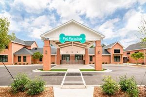 Best Dog Day Care in Snellville, GA: Top Picks Safem Fabrication - Precision Engineering & Custom Manufacturing Solutions Best Dog Day Care in Snellville, GA: Top Picks | Safem Fabrication - Precision Engineering & Custom Manufacturing Solutions