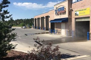 Best Dog &amp; Car Wash in Colorado Springs | My Caring Dog – Tips, Stories, and Care Guides for Loving Pet Owners