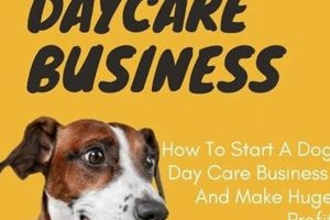 Is Dog Day Care a Profitable Business? (2024) | My Caring Dog – Tips, Stories, and Care Guides for Loving Pet Owners