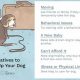 Help! I Can't Take Care of My Dog Anymore: Reddit Advice | My Caring Dog – Tips, Stories, and Care Guides for Loving Pet Owners