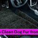 Easy Ways to Clean Dog Fur from Your Car | My Caring Dog – Tips, Stories, and Care Guides for Loving Pet Owners