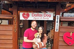 Top-Rated Arlington Dog Day Care & Boarding My Caring Dog – Tips, Stories, and Care Guides for Loving Pet Owners Top-Rated Arlington Dog Day Care & Boarding | My Caring Dog – Tips, Stories, and Care Guides for Loving Pet Owners