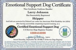 Free Emotional Support Dogs My Caring Dog – Tips, Stories, and Care Guides for Loving Pet Owners Free Emotional Support Dogs | My Caring Dog – Tips, Stories, and Care Guides for Loving Pet Owners