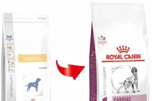 Best Royal Canin Heart Care Dog Food Guide My Caring Dog – Tips, Stories, and Care Guides for Loving Pet Owners Best Royal Canin Heart Care Dog Food Guide | My Caring Dog – Tips, Stories, and Care Guides for Loving Pet Owners