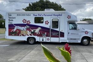 Best Dog Day Care in Kaneohe | Top Kennels My Caring Dog – Tips, Stories, and Care Guides for Loving Pet Owners Best Dog Day Care in Kaneohe | Top Kennels | My Caring Dog – Tips, Stories, and Care Guides for Loving Pet Owners