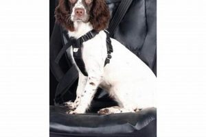 Best Halfords Dog Car Harnesses for Safe Travel My Caring Dog – Tips, Stories, and Care Guides for Loving Pet Owners Best Halfords Dog Car Harnesses for Safe Travel | My Caring Dog – Tips, Stories, and Care Guides for Loving Pet Owners