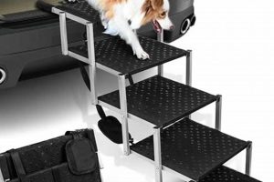 Best Dog Steps for Car & Home Use | My Caring Dog – Tips, Stories, and Care Guides for Loving Pet Owners
