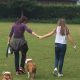 Best Dog Day Care in Guildford | Top Kennels | My Caring Dog – Tips, Stories, and Care Guides for Loving Pet Owners