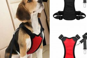 Best Dog Seat Belt for Car: Safe Travel | My Caring Dog – Tips, Stories, and Care Guides for Loving Pet Owners