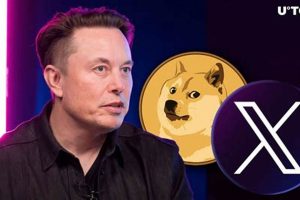 Doge Car Insurance Elon Musk My Caring Dog – Tips, Stories, and Care Guides for Loving Pet Owners Doge Car Insurance Elon Musk | My Caring Dog – Tips, Stories, and Care Guides for Loving Pet Owners