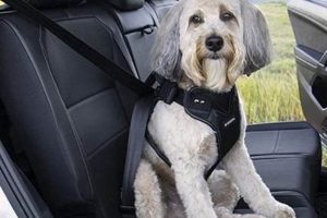 Best Dog Car Harness Seats: Safe & Secure Travel | Safem Fabrication - Precision Engineering & Custom Manufacturing Solutions