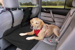 Best Car Back Seat Bridge for Dogs: Safe Travel | My Caring Dog – Tips, Stories, and Care Guides for Loving Pet Owners