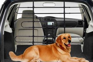 Best Dog Gates & Barriers For Back of Car My Caring Dog – Tips, Stories, and Care Guides for Loving Pet Owners Best Dog Gates & Barriers For Back of Car | My Caring Dog – Tips, Stories, and Care Guides for Loving Pet Owners