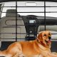 Best Dog Gates & Barriers For Back of Car | My Caring Dog – Tips, Stories, and Care Guides for Loving Pet Owners