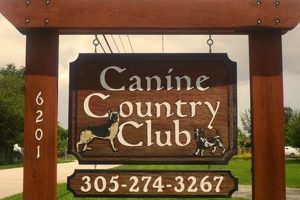 Best Canine Country Club Miami: Luxury Pet Care | My Caring Dog – Tips, Stories, and Care Guides for Loving Pet Owners