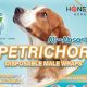 Honey Care Male Dog Wraps | My Caring Dog – Tips, Stories, and Care Guides for Loving Pet Owners