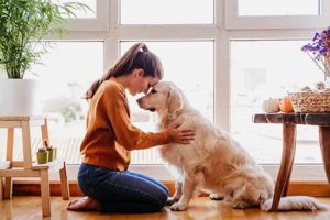The Joy of Petting a Dog: A Guide My Caring Dog – Tips, Stories, and Care Guides for Loving Pet Owners The Joy of Petting a Dog: A Guide | My Caring Dog – Tips, Stories, and Care Guides for Loving Pet Owners