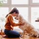 The Joy of Petting a Dog: A Guide | My Caring Dog – Tips, Stories, and Care Guides for Loving Pet Owners