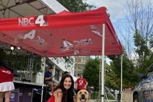 Best Canine Companions Ohio: Car Dog Edition | My Caring Dog – Tips, Stories, and Care Guides for Loving Pet Owners