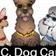 The Ultimate Guide to RC Dog Care | My Caring Dog – Tips, Stories, and Care Guides for Loving Pet Owners