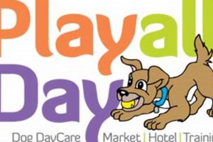 Best Play All Day Dog Care & Boarding My Caring Dog – Tips, Stories, and Care Guides for Loving Pet Owners Best Play All Day Dog Care & Boarding | My Caring Dog – Tips, Stories, and Care Guides for Loving Pet Owners
