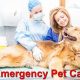 Free Dog Emergency Care | My Caring Dog – Tips, Stories, and Care Guides for Loving Pet Owners