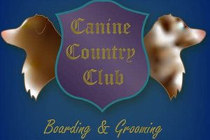 Top Doggy Daycare | Canine Country Club Washington IL | Pampered Pets Safem Fabrication - Precision Engineering & Custom Manufacturing Solutions Top Doggy Daycare | Canine Country Club Washington IL | Pampered Pets | Safem Fabrication - Precision Engineering & Custom Manufacturing Solutions