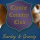 Top Doggy Daycare | Canine Country Club Washington IL | Pampered Pets | My Caring Dog – Tips, Stories, and Care Guides for Loving Pet Owners