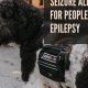 Find Seizure Alert Dogs Near You Today | My Caring Dog – Tips, Stories, and Care Guides for Loving Pet Owners