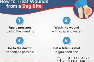 Dog Bite Wound Care: First Aid & Treatment My Caring Dog – Tips, Stories, and Care Guides for Loving Pet Owners Dog Bite Wound Care: First Aid & Treatment | My Caring Dog – Tips, Stories, and Care Guides for Loving Pet Owners