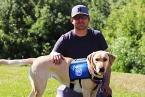 Car Dog's New Life K9s: A Fresh Start My Caring Dog – Tips, Stories, and Care Guides for Loving Pet Owners Car Dog's New Life K9s: A Fresh Start | My Caring Dog – Tips, Stories, and Care Guides for Loving Pet Owners