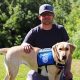 Car Dog's New Life K9s: A Fresh Start | My Caring Dog – Tips, Stories, and Care Guides for Loving Pet Owners
