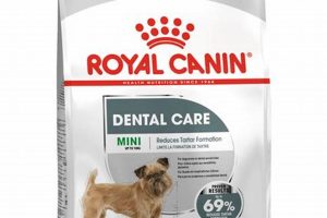 Top 5 Best Oral Care Dog Foods for Healthy Teeth My Caring Dog – Tips, Stories, and Care Guides for Loving Pet Owners Top 5 Best Oral Care Dog Foods for Healthy Teeth | My Caring Dog – Tips, Stories, and Care Guides for Loving Pet Owners