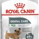 Top 5 Best Oral Care Dog Foods for Healthy Teeth | My Caring Dog – Tips, Stories, and Care Guides for Loving Pet Owners