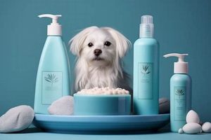 Dog Hair Care Products My Caring Dog – Tips, Stories, and Care Guides for Loving Pet Owners Dog Hair Care Products | My Caring Dog – Tips, Stories, and Care Guides for Loving Pet Owners