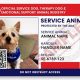 Service Dog Certification: Facts & Myths | My Caring Dog – Tips, Stories, and Care Guides for Loving Pet Owners