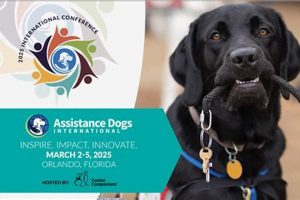 ADI Service Dogs: Your Guide & Resources My Caring Dog – Tips, Stories, and Care Guides for Loving Pet Owners ADI Service Dogs: Your Guide & Resources | My Caring Dog – Tips, Stories, and Care Guides for Loving Pet Owners