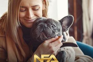 Top Dog Care Franchise Opportunities My Caring Dog – Tips, Stories, and Care Guides for Loving Pet Owners Top Dog Care Franchise Opportunities | My Caring Dog – Tips, Stories, and Care Guides for Loving Pet Owners