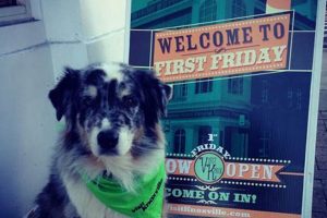 Best Dog Visits Near Me: Car Dog Services My Caring Dog – Tips, Stories, and Care Guides for Loving Pet Owners Best Dog Visits Near Me: Car Dog Services | My Caring Dog – Tips, Stories, and Care Guides for Loving Pet Owners