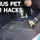 Top Tips: Dog Hair Removal in Car Made Easy | My Caring Dog – Tips, Stories, and Care Guides for Loving Pet Owners