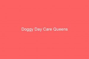 Top Dog Day Care Centers in Queens, NY My Caring Dog – Tips, Stories, and Care Guides for Loving Pet Owners Top Dog Day Care Centers in Queens, NY | My Caring Dog – Tips, Stories, and Care Guides for Loving Pet Owners