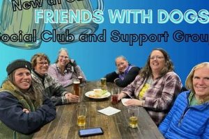 Best Dog Social Clubs Near Me | Car Dog | My Caring Dog – Tips, Stories, and Care Guides for Loving Pet Owners