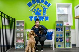 Top Dog Day Care in Peoria IL: Find the Best Safem Fabrication - Precision Engineering & Custom Manufacturing Solutions Top Dog Day Care in Peoria IL: Find the Best | Safem Fabrication - Precision Engineering & Custom Manufacturing Solutions